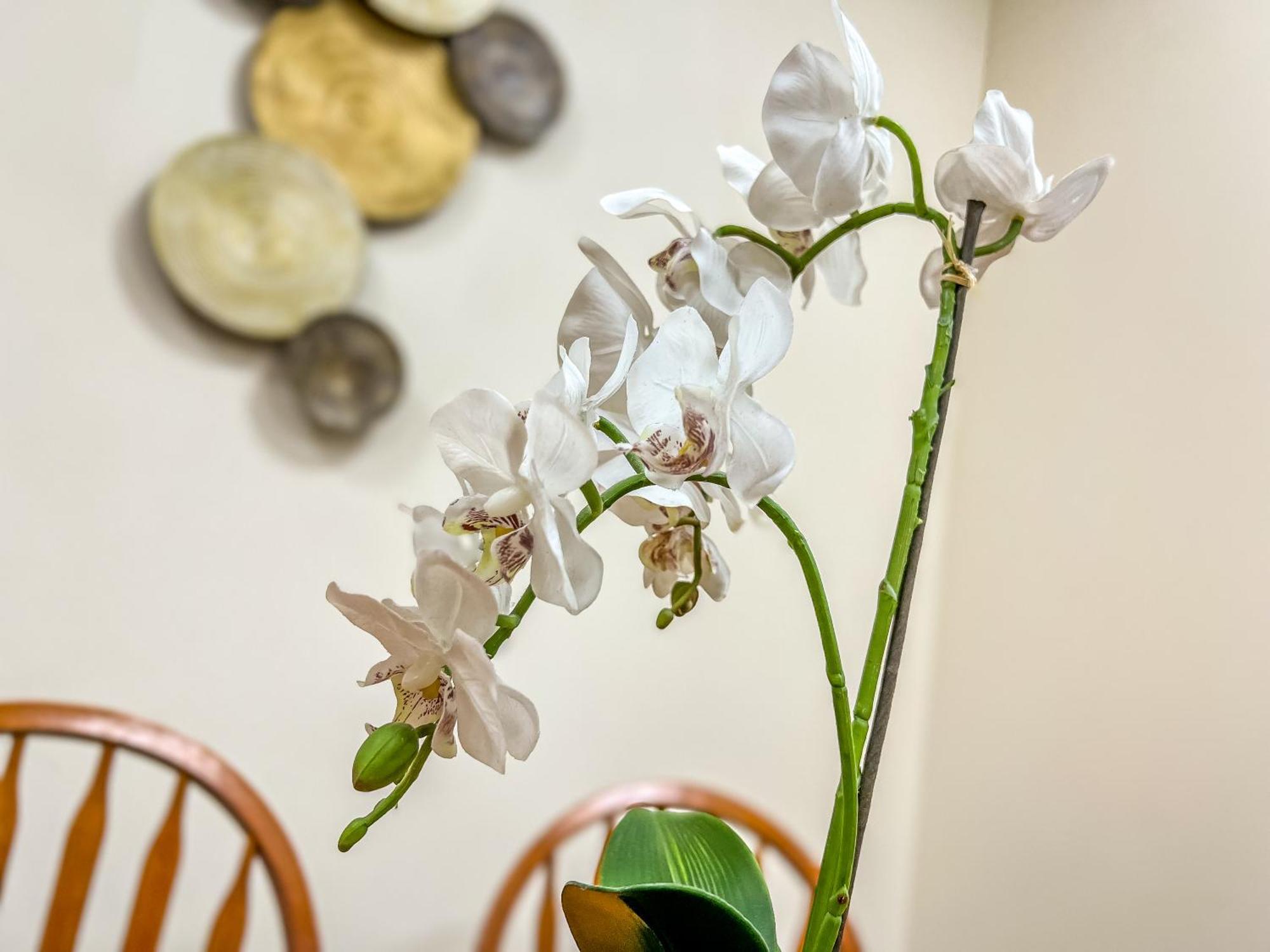 County Hall Apartment Hotel Boston Ngoại thất bức ảnh